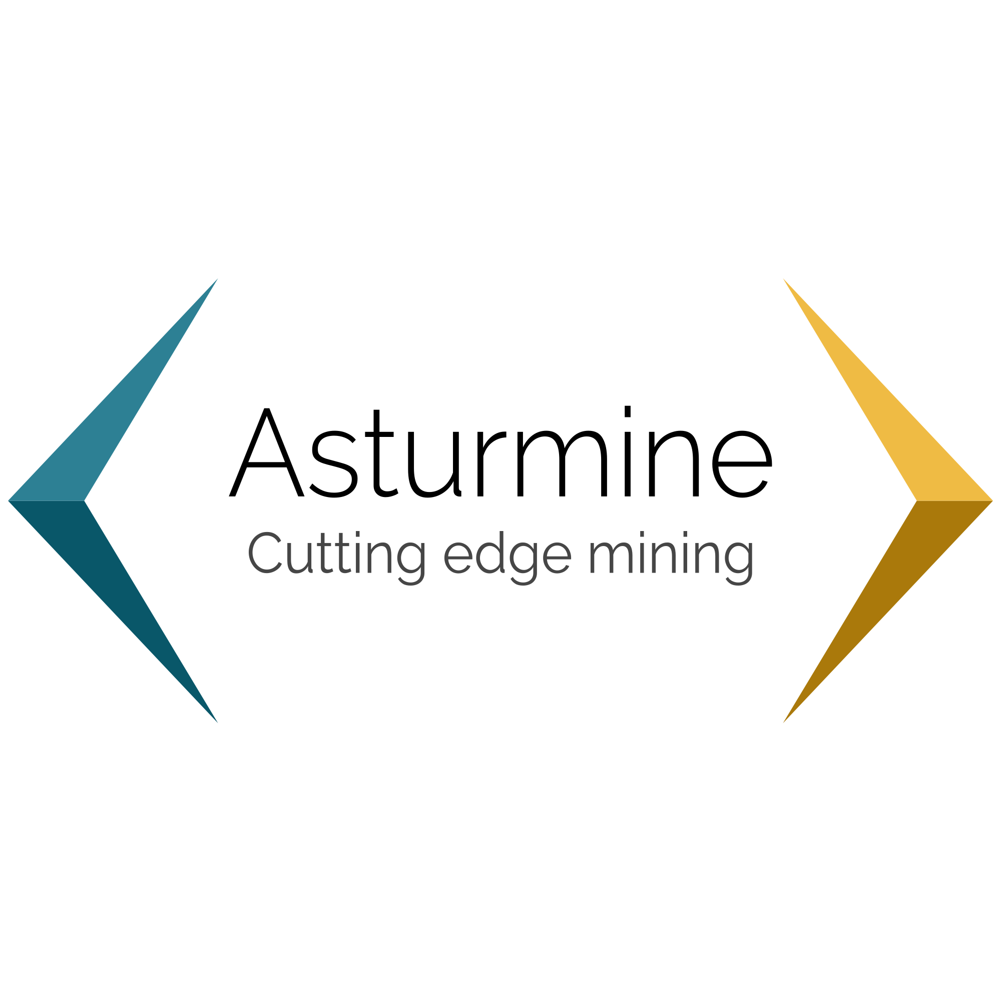 Logo Asturmine